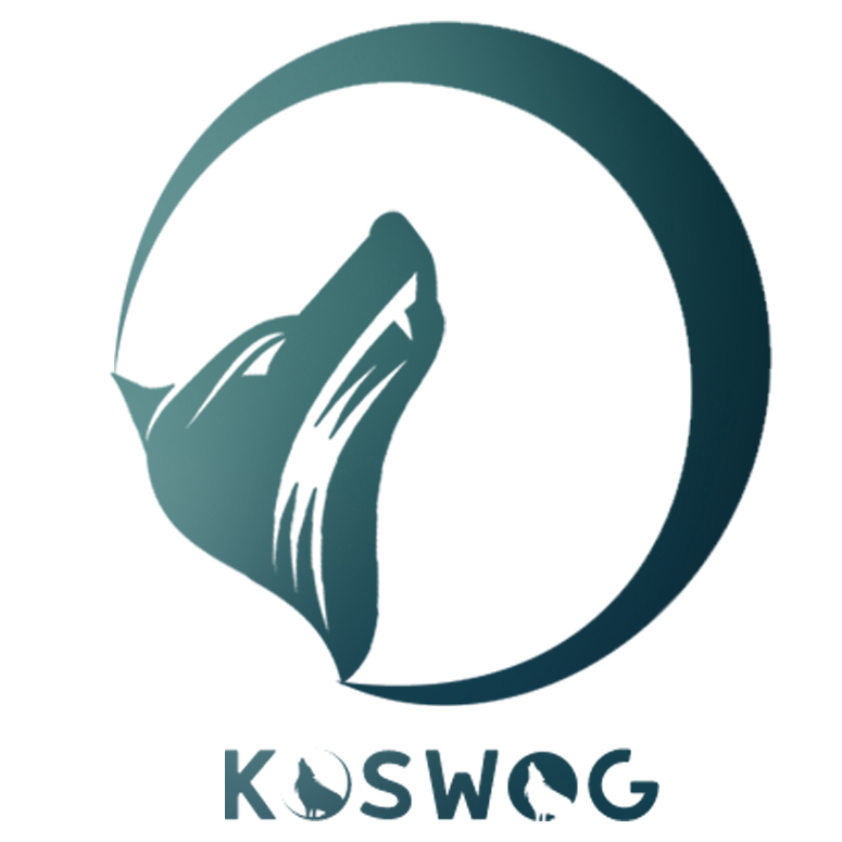 1001.png